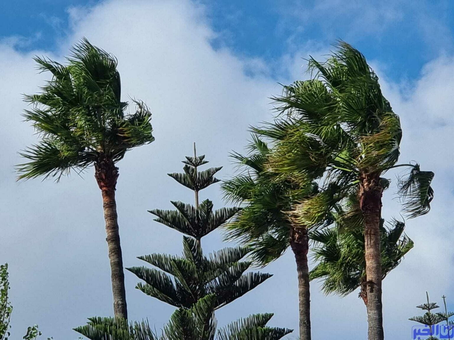 طقس المغرب.. درجات الحرارة الدنيا والعليا المرتقبة غدا الأربعاء