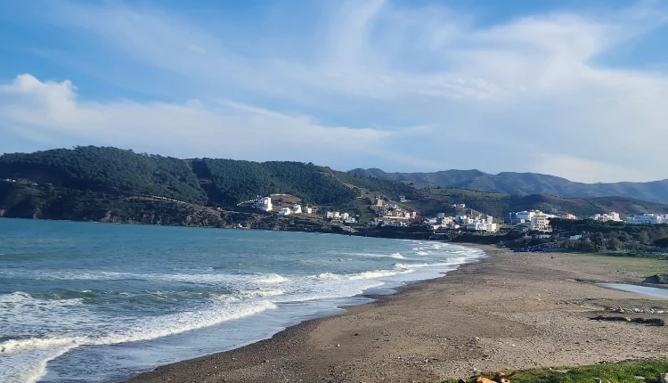 اكتشاف “نادر” بالسواحل المغربية يكشف أسرار المحيطات ...المغرب